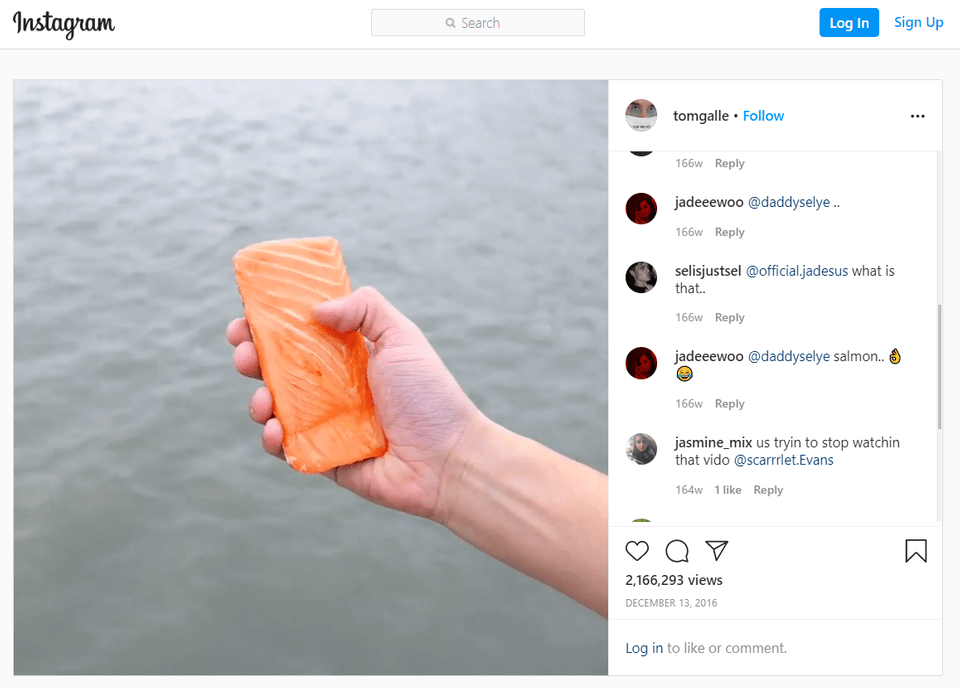 scrolling salmon